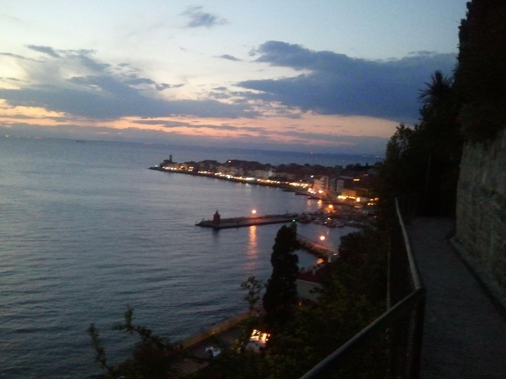 Apartments Piran Zimmer foto